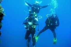 Diving03