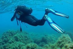 Diving04
