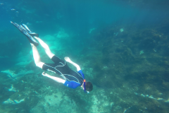 Diving05